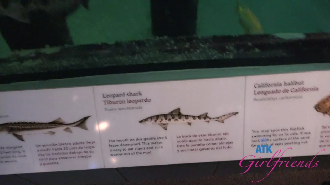 ATKGirlfriends Summer Renee Norcal 5 XXX